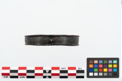 Foto von Eisenbandring (NHMW-PRAE-025171)